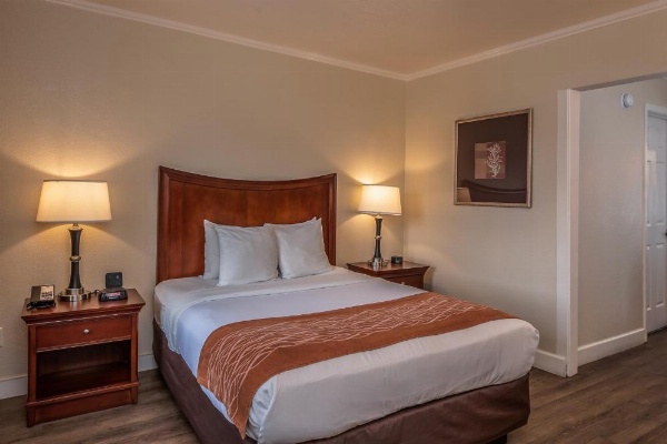 Blu Pacific Hotel image 19