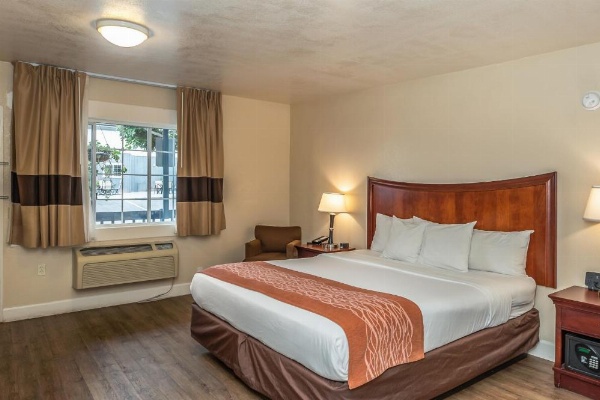 Blu Pacific Hotel image 29