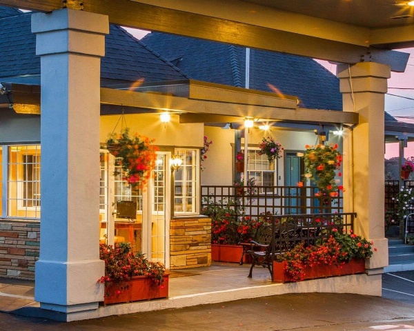 Blu Pacific Hotel image 6